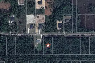 Apricot Ave, Eustis, FL 32736 - Photo 2
