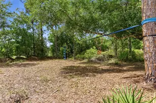 4529 Caesar Ave, Orlando, FL 32833 - Photo 54