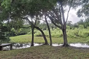 3530 Crystal Lakes Ct, Sarasota, FL 34235 - Photo 52