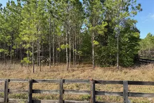 State Road 44, Eustis, FL 32726 - Photo 1