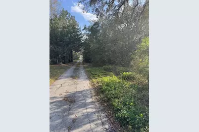 State Road 44, Eustis, FL 32726 - Photo 2