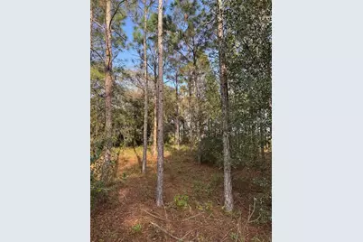 State Road 44, Eustis, FL 32726 - Photo 4