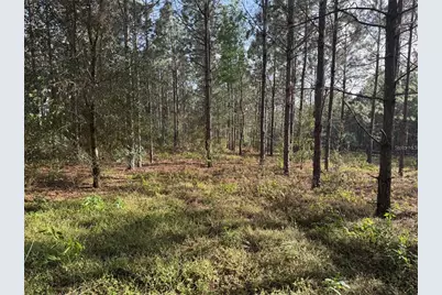 State Road 44, Eustis, FL 32726 - Photo 6