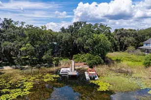 1924 Down Hollow Ln, Windermere, FL 34786 - Photo 74