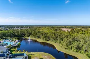 2873 Cherry Blossom Loop, Saint Cloud, FL 34771 - Photo 68