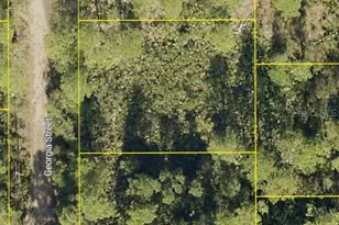 Georgia St, Paisley, FL 32767 - Photo 1