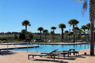 2950 Firebush Wy, Clermont, FL 34711 - Photo 26
