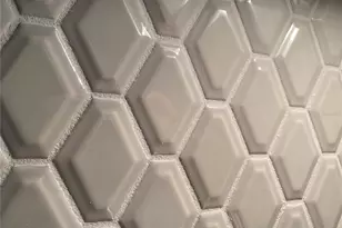 2950 Firebush Wy, Clermont, FL 34711 - Photo 6