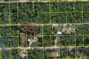 NE 235th Pl, Fort Mc Coy, FL 32134 - Photo 1