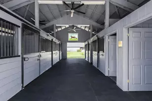 33015 Sahara Ct, Sorrento, FL 32776 - Photo 6