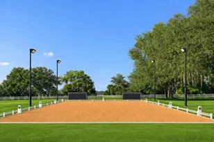 33015 Sahara Ct, Sorrento, FL 32776 - Photo 10