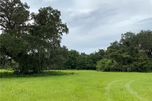 9401 NE 41st Ct, Anthony, FL 32617 - Photo 8