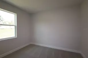 3254 Wolf Lk Ave, Apopka, FL 32712 - Photo 10