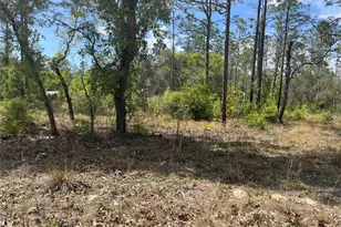 NE 96 Ave, Bronson, FL 32621 - Photo 1