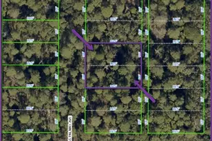 0 Las Palmas Ave, Spring Hill, FL 34606 - Photo 1