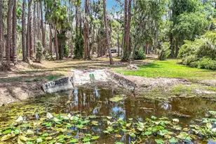 7374 Circle Dr, Lady Lake, FL 32159 - Photo 50