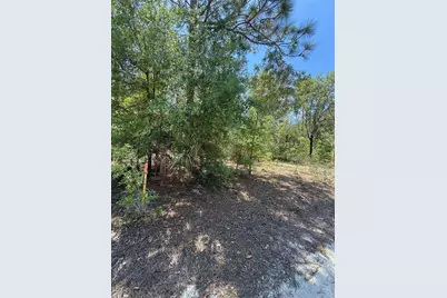 Ne 118th Lane, Bronson, FL 32621 - Photo 1