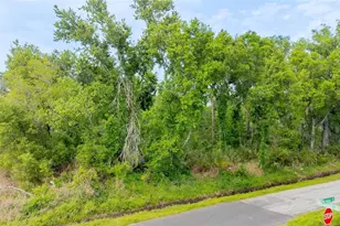 Hickman Ave, Plant City, FL 33563 - Photo 1