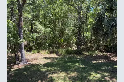 683 Evening Sky Drive, Oviedo, FL 32765 - Photo 24
