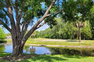 432 Baytree Blvd, Tavares, FL 32778 - Photo 36