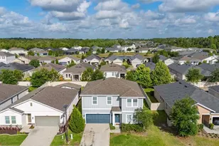 2933 Deerberry Ln, Clermont, FL 34714 - Photo 24