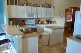 313 Higher Combe Dr, Davenport, FL 33897 - Photo 12