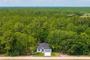 2132 Pine Meadows Golf Course Rd, Eustis, FL 32726 - Photo 52
