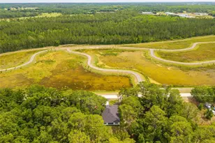 2132 Pine Meadows Golf Course Rd, Eustis, FL 32726 - Photo 58