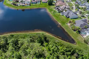 2243 3 Rivers Dr, Orlando, FL 32828 - Photo 56