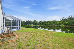 16825 Harrierridge Pl, Lithia, FL 33547 - Photo 56