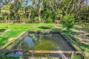 1244 Elysium Blvd, Mount Dora, FL 32757 - Photo 44