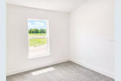 250 Verny Grove Lane, Leesburg, FL 34748 - Photo 10
