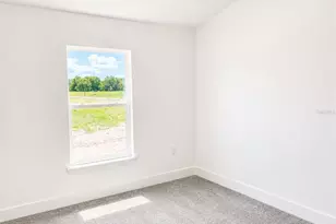 250 Verny Grove Ln, Leesburg, FL 34748 - Photo 10