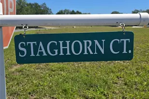 14025 Stag Horn Ct, Astatula, FL 34705 - Photo 72