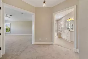 6036 Greatwater Dr, Windermere, FL 34786 - Photo 22