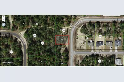 6750 N Sandborn Loop, Citrus Springs, FL 34433 - Photo 1