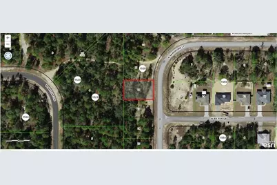 6746 N Sandborn Loop, Citrus Springs, FL 34433 - Photo 1