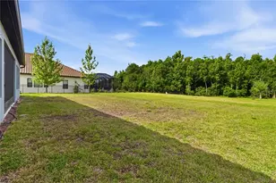 3018 Cordoba Ranch Blvd, Lutz, FL 33559 - Photo 48