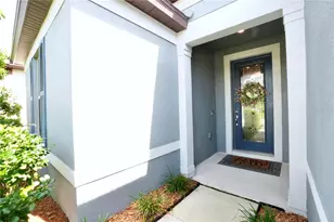 10401 Malvasia Ave, Riverview, FL 33578 - Photo 8