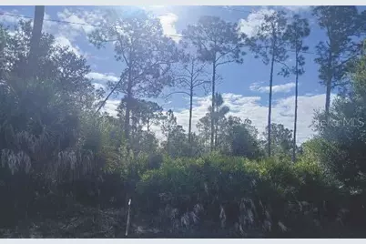 1302 Willard Avenue, Lehigh Acres, FL 33972 - Photo 2