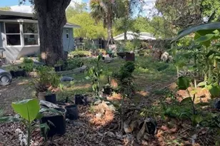 6800 Anoka Dr, Orlando, FL 32818 - Photo 26