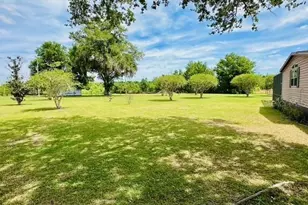 6814 Redwing Rd, Groveland, FL 34736 - Photo 4