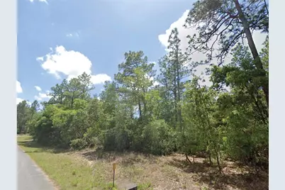 9164 N Gilbert Terrace, Dunnellon, FL 34433 - Photo 1