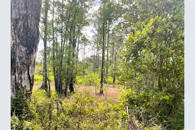 Banyan Street #Unit No. 1, Eustis, FL 32736 - Photo 2