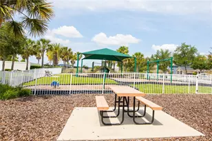 15665 Citrus Harvest Rd, Winter Garden, FL 34787 - Photo 46