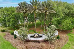 27210 Stoney Brook Dr, Leesburg, FL 34748 - Photo 56