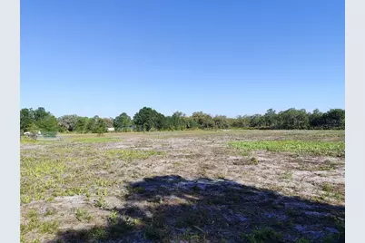 4535 Sarver Avenue, Lake Wales, FL 33859 - Photo 8
