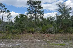 7524 Yumuri St, Sebring, FL 33872 - Photo 1