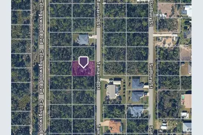 3133 Tamarind Street, Port Charlotte, FL 33948 - Photo 1