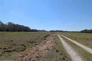 Deen Still Road E, Polk City, FL 33868 - Photo 1